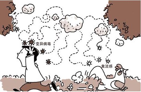 禽流感